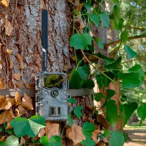 Photographic trap Num'axes PIE1061 image-2