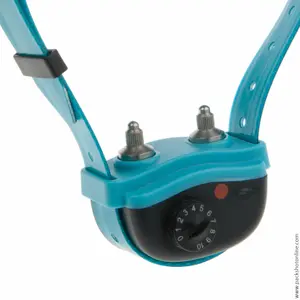 Anti-gø-halsbånd til hunde Num'axes Canicalm Excel image-1