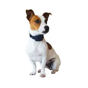 Clôture anti-fugue pour chien complet Num'axes Canifugue Small image-1