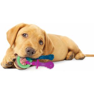 product/n/y/nylabone_982087eu_1.jpg