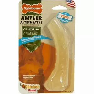 Παιχνίδι για σκύλους Nylabone Puppy Antler - Chicken XS image-0