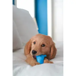 Gioco per cani Nylabone Puppy Teething Dental Dino - Chicken Flavour S image-0