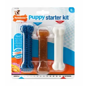 Set of 3 dog toys Nylabone Puppy Starter Kit - 1 Puppybone Chicken / 1 Extreme Chew Chicken / 1 Dental Blue S image-0