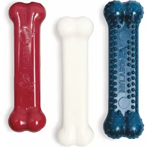 Zabawka dla psa Nylabone Small Dog Dental Blue Chew - Bacon Chicken / Moderate Chew Origin XS image-1