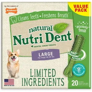 Lot de 10 jouets pour chien Nylabone Nutri Dent Large TU image-0