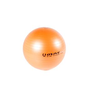 ba06816-ballon-d-entrainement-o-live-fitness-orange