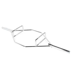 Olympic weight bar O'live Fitness Trap image-0