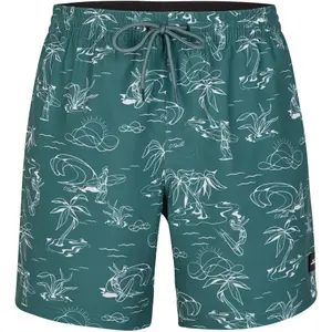Swim shorts O'Neill Cali Circle Surfer image-0