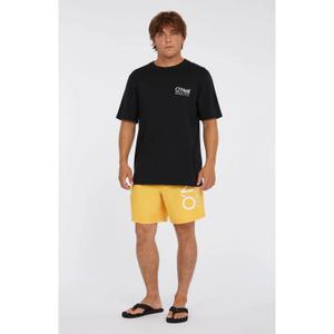 Swim shorts O'Neill Original Cali 16" image-1