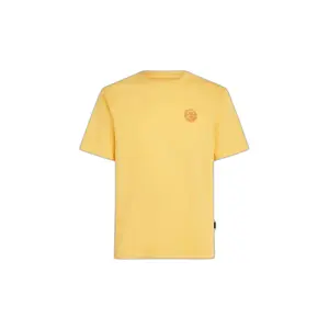 Camiseta O'Neill O'riginals Vintage Graphic