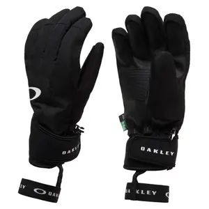 Ski gloves Oakley Powder Ridge