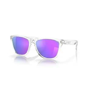 Sunglasses Oakley Frogskins