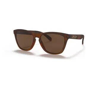 Sunglasses Oakley frogskins tort prizm tungstn image-0