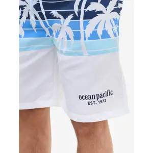 Short Ocean Pacific Wavelet image-4