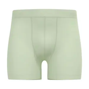 Merino wool boxer briefs Odlo 160 Natural image-0