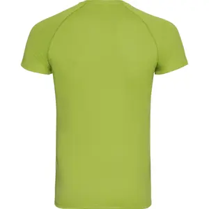 Jersey Odlo Active F-Dry Light image-0
