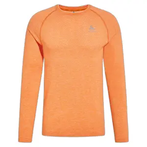 Long sleeve T-shirt Odlo Essential Seamless image-0