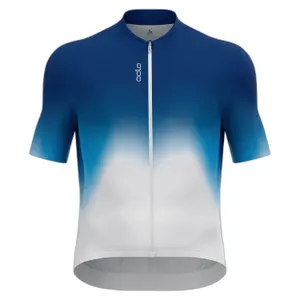 Camiseta Odlo Zeroweight Chill-tec image-0