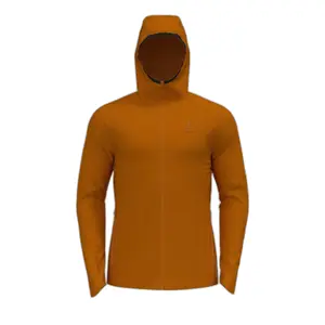 Sudadera con capucha Odlo Ascent Pw 220 image-0