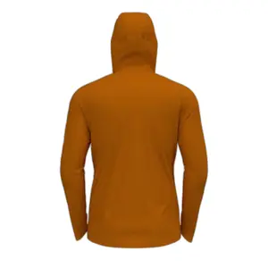 Sudadera con capucha Odlo Ascent Pw 220 image-1