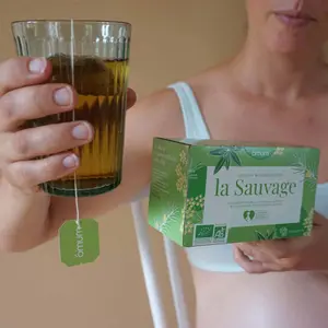 La sauvage: tisana biologica senza teina 20 bustine Omum image-5