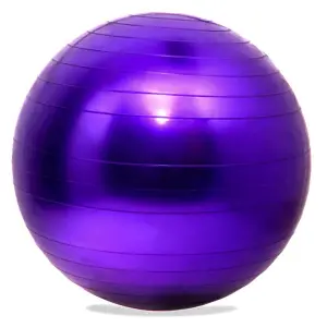 Gym ball Onamaste