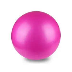 Gym ball Onamaste