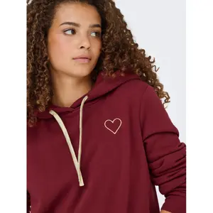 Dames Hoodie Only Noli image-4