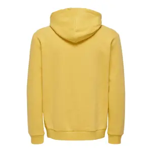 Sudadera con capucha Only & Sons Ceres image-5