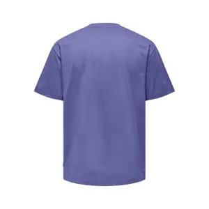 Camiseta Only & Sons Fred Life Rlx image-1