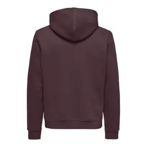 Kapuzensweatshirt Only & Sons Connor Reg image-1