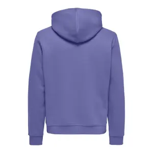 Kapuzensweatshirt Only & Sons Connor Reg image-1