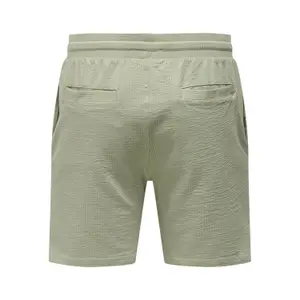 Shorts Only & Sons Skian Reg image-1