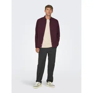Langarmshirt Only & Sons Road Life Reg image-1