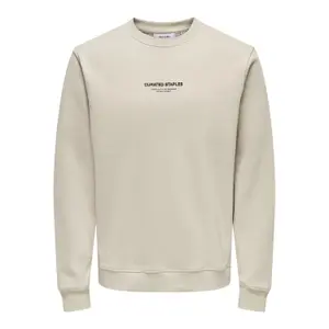Sweatshirt Only & Sons Curated Reg image-0