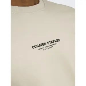 Sweatshirt Only & Sons Curated Reg image-5