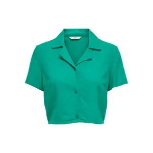Woman's shirt Only onlcaro linen image-0