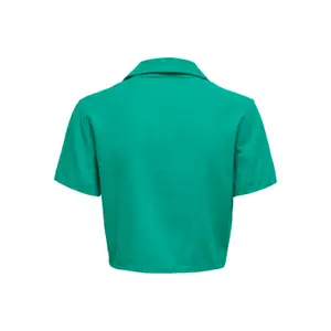 Woman's shirt Only onlcaro linen image-1