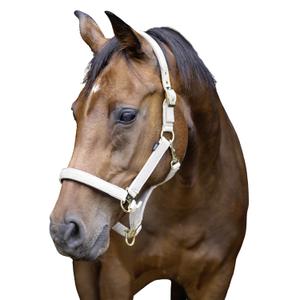 15050042-104-399-halster-for-hast-onyx-onyx-gradde