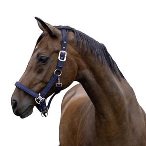 15050042-132-399-licol-pour-cheval-onyx-onyx-navy