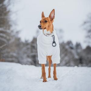 Led-Lampe Orbiloc Dog Dual image-4