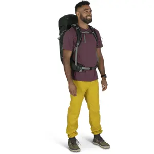 Sac de randonnée Osprey Talon 33 image-2