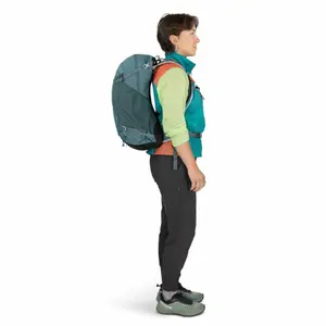 Sac de randonnée Osprey Hikelite 26 image-2