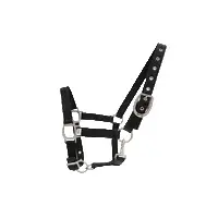 Halter for horse Ovation Lucky image-0
