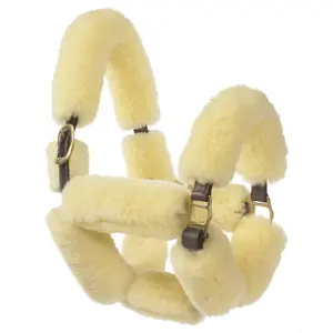 Leather halter for horses Ovation Elite image-0