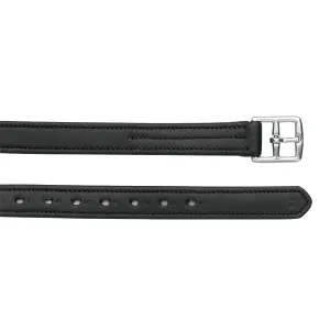 Leather Stirrup Straps for Horse Ovation image-0