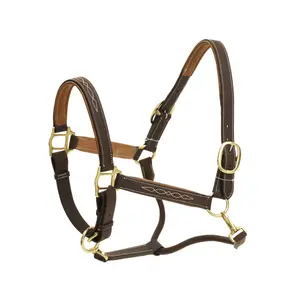 Halter for horse Ovation Richtan Luxury image-0