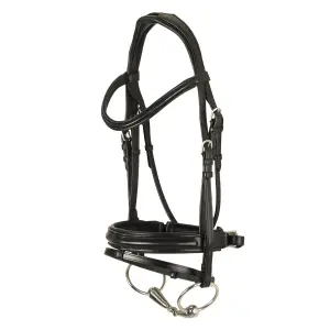 Anatomical riding bridles for horses Ovation Dortmund