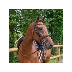 Removable Leather Horse Blinkers Jump'In Week image-2