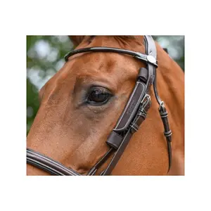 Removable Leather Horse Blinkers Jump'In Week image-3